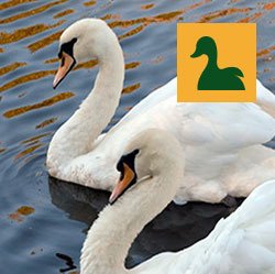 Wetland Station & Trails