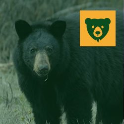 Wildlife Station & Tours