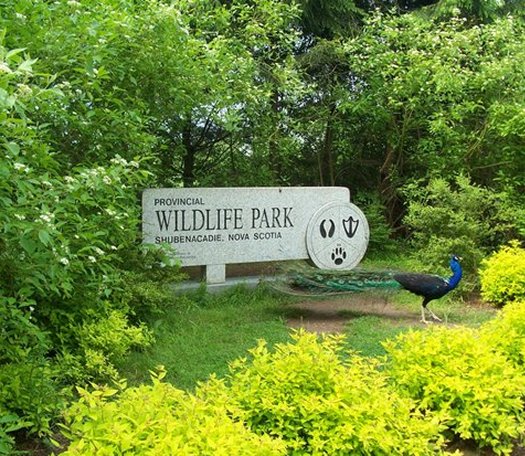 Shubenacadie Provincial Wildlife Park sign